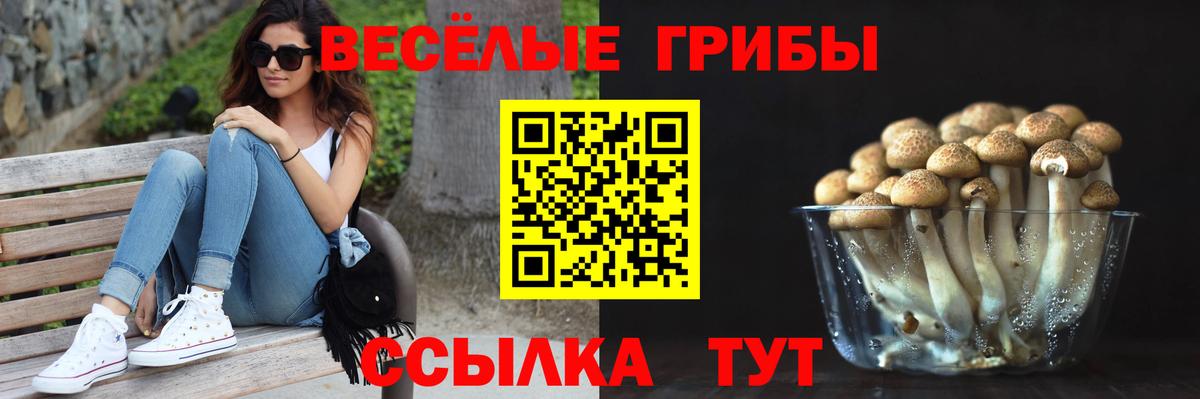 Псилоцибиновые грибы Psilocybe  Вход с VPN  Нижнекамск  Галлюциногенные грибы ЛСД 